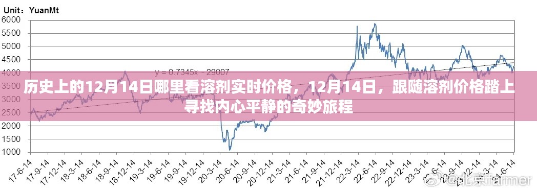 探寻内心平静之旅，12月14日溶剂实时价格查询指南