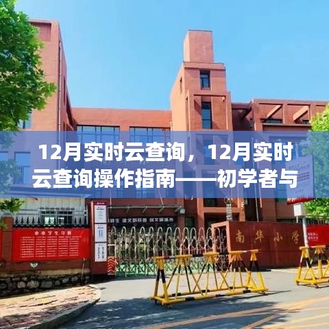 12月实时云查询操作指南，初学者与进阶用户必备教程