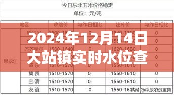 超越变化，大站镇水位查询背后的励志故事与实时水位查询表（2024年12月14日）