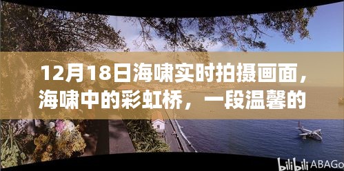 海啸中的彩虹桥，温馨日常故事在灾难中绽放