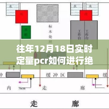 揭秘绝对定量PCR的双重魅力，实验室探寻自然之美与心灵之旅的交融探索