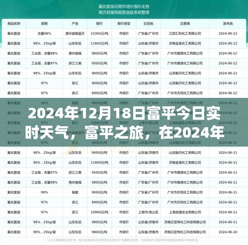 2024年12月 第132页