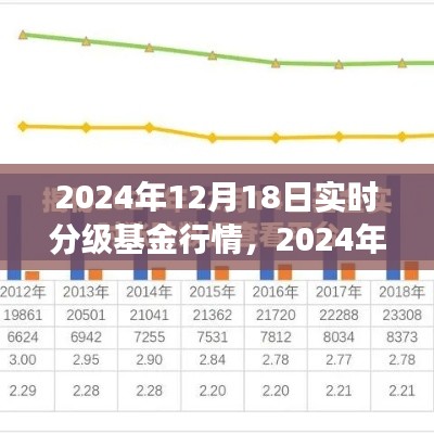 深度解析，2024年实时分级基金行情洞察与投资建议