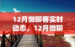 暖阳下的微聊客，12月实时动态与温情日常