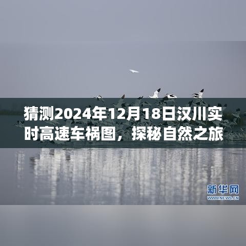 汉川高速车祸最新猜测与车祸背后的宁静美景探秘之旅（实时更新）