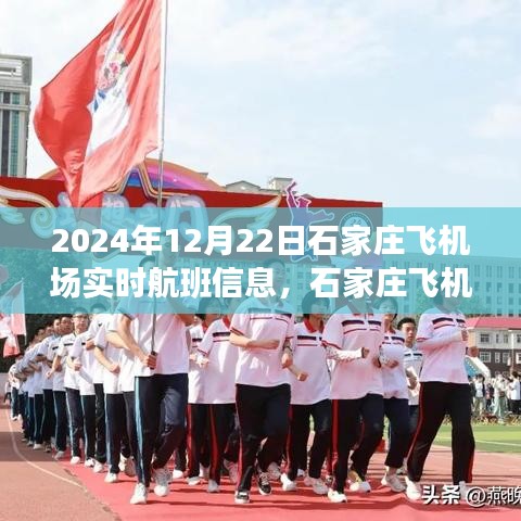 石家庄飞机场航班背后的温情故事，实时航班信息一览（2024年12月22日）