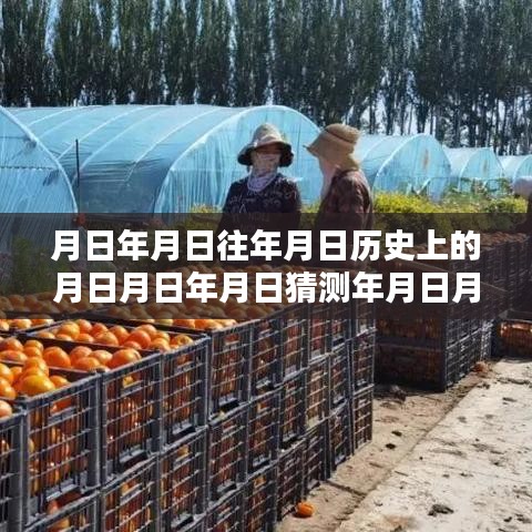 乡村振兴的智能新纪元，科技前沿体验与实时热点解读