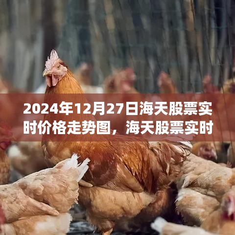 海天股票实时走势图，洞悉未来股票动态的利器（2024年12月27日实时更新）