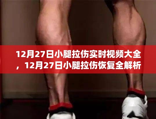 12月27日小腿拉伤恢复指南，实时视频教程助你快速康复与恢复全解析