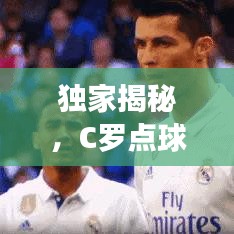 zhizhengzhaoxi 第2页