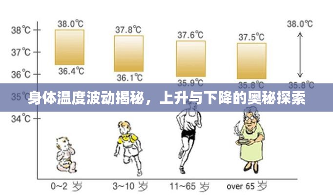 身体温度波动揭秘，上升与下降的奥秘探索