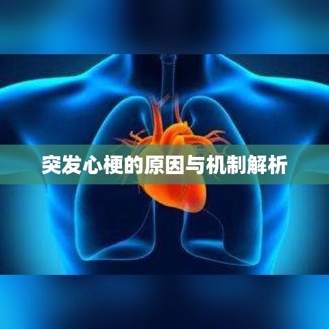 突发心梗的原因与机制解析