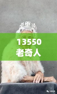 13550老奇人独家网，13350con老奇人24马 