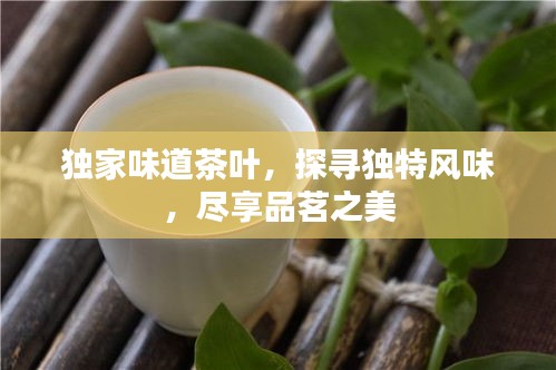 独家味道茶叶，探寻独特风味，尽享品茗之美