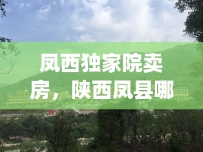 凤西独家院卖房，陕西凤县哪有单家独院出售 