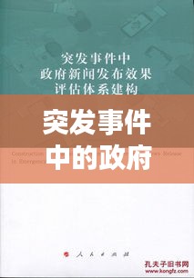 突发事件中的政府应对策略与申请艺术，实战指南