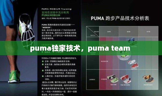 puma独家技术，puma team 