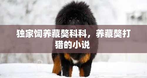 独家饲养藏獒科科，养藏獒打猎的小说 