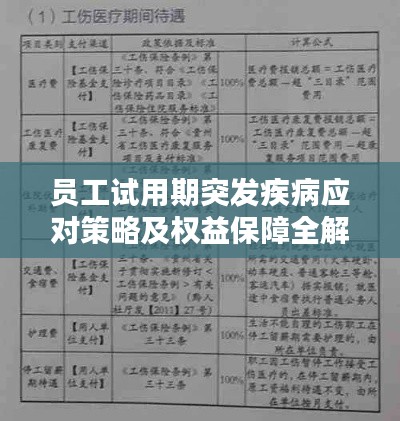 员工试用期突发疾病应对策略及权益保障全解析