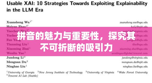 拼音的魅力与重要性，探究其不可折断的吸引力