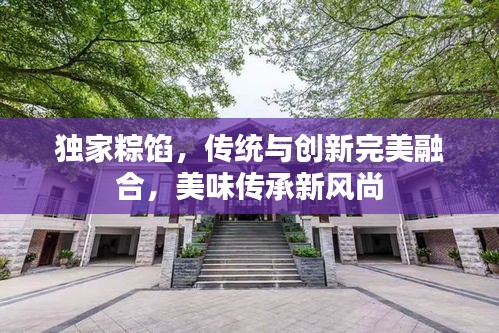 独家粽馅，传统与创新完美融合，美味传承新风尚