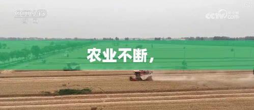 炊粱跨卫