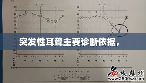 突发性耳聋主要诊断依据， 