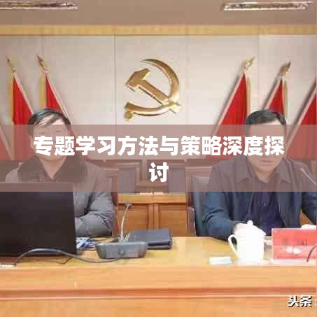 专题学习方法与策略深度探讨