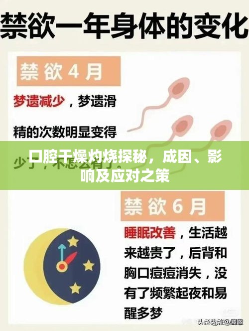 口腔干燥灼烧探秘，成因、影响及应对之策