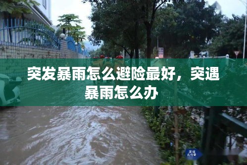 突发暴雨怎么避险最好，突遇暴雨怎么办 