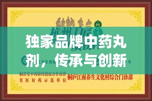 独家品牌中药丸剂，传承与创新融合，品质与健康同行