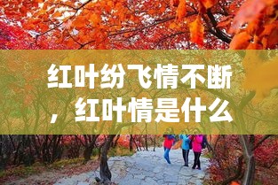 红叶纷飞情不断，红叶情是什么意思 