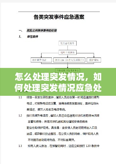 怎么处理突发情况，如何处理突发情况应急处置能力 