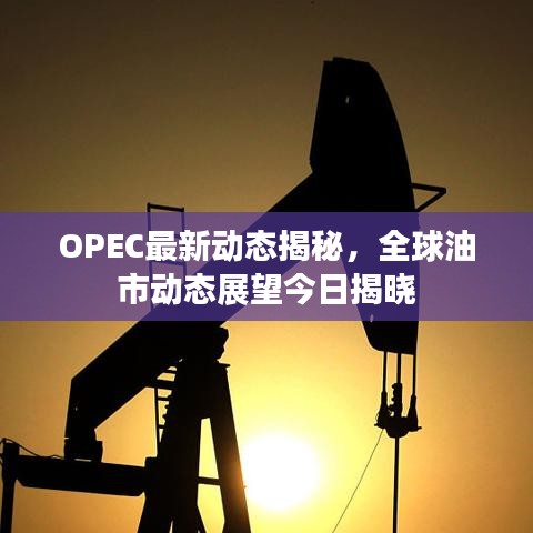 OPEC最新动态揭秘，全球油市动态展望今日揭晓