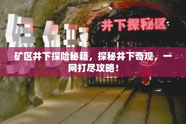 矿区井下探险秘籍，探秘井下奇观，一网打尽攻略！