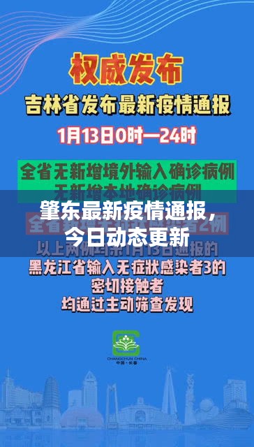 肇东最新疫情通报，今日动态更新