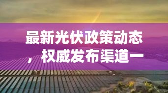 最新光伏政策动态，权威发布渠道一网打尽