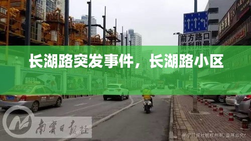 长湖路突发事件，长湖路小区 