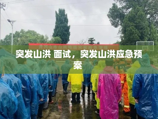 突发山洪 面试，突发山洪应急预案 