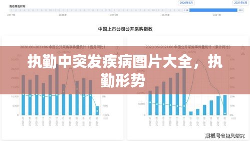 执勤中突发疾病图片大全，执勤形势 