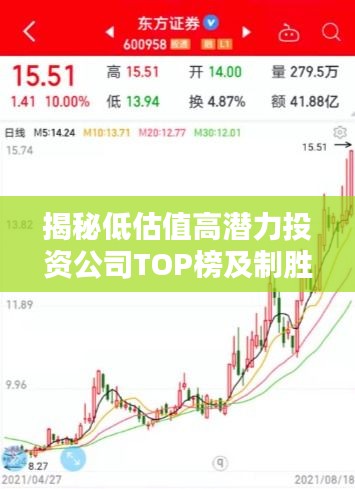 揭秘低估值高潜力投资公司TOP榜及制胜投资策略