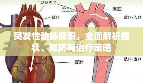 突发性动脉撕裂，全面解析症状、预防与治疗策略