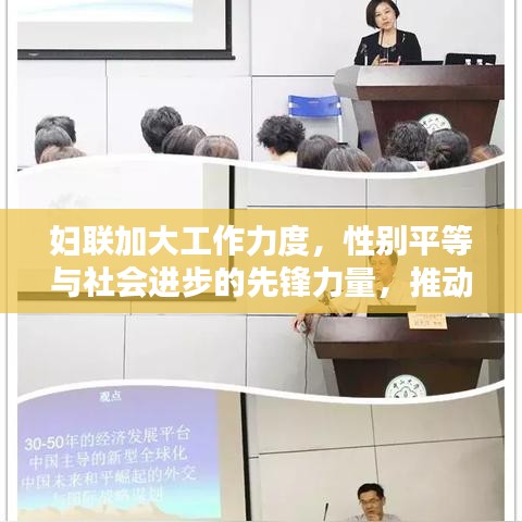 妇联加大工作力度，性别平等与社会进步的先锋力量，推动社会和谐前行