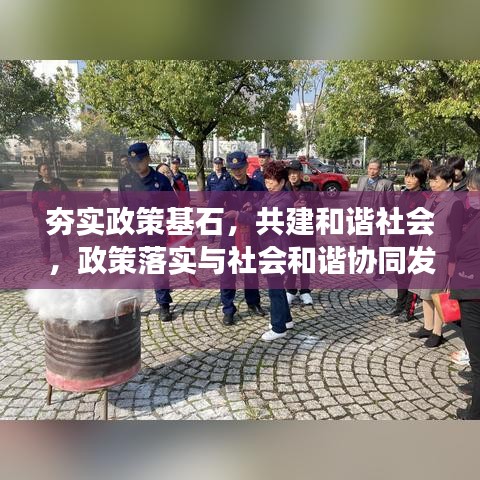 夯实政策基石，共建和谐社会，政策落实与社会和谐协同发展之路