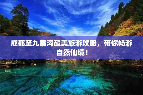 成都至九寨沟超美旅游攻略，带你畅游自然仙境！