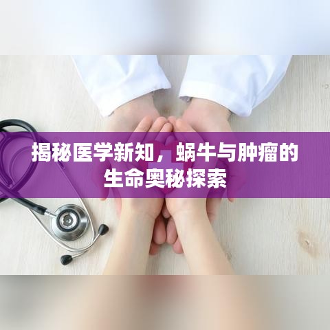 揭秘医学新知，蜗牛与肿瘤的生命奥秘探索