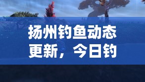 扬州钓鱼动态更新，今日钓鱼最新消息一网打尽！