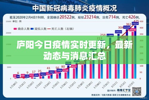 庐阳今日疫情实时更新，最新动态与消息汇总