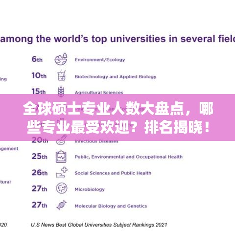 全球硕士专业人数大盘点，哪些专业最受欢迎？排名揭晓！