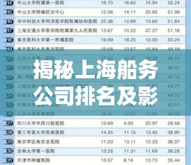 揭秘上海船务公司排名及影响力榜单